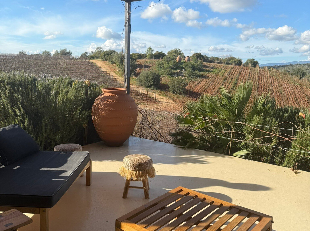 Arvad Wines-Estombar必去景点