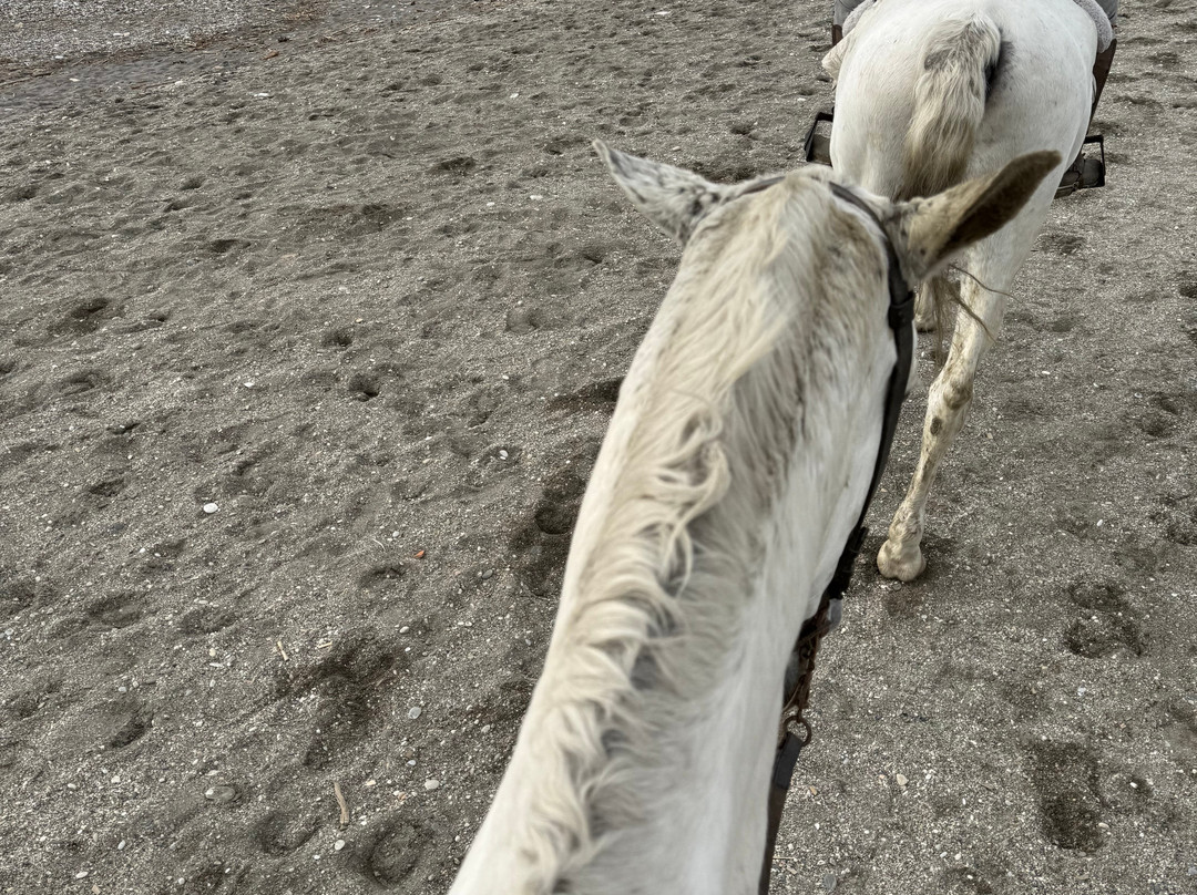 Andale Riding Nerja-内尔哈必去景点