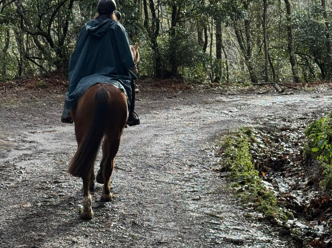 Equine Village by Quinta do Riacho-Santo da Serra必去景点