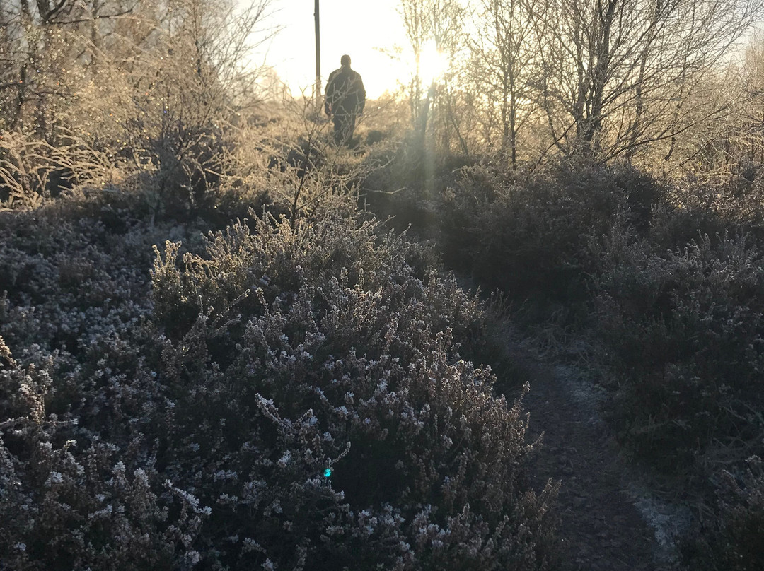 RSPB - Insh Marshes-Kingussie必去景点