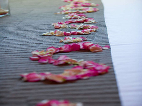 圣荷西希尔顿酒店主图