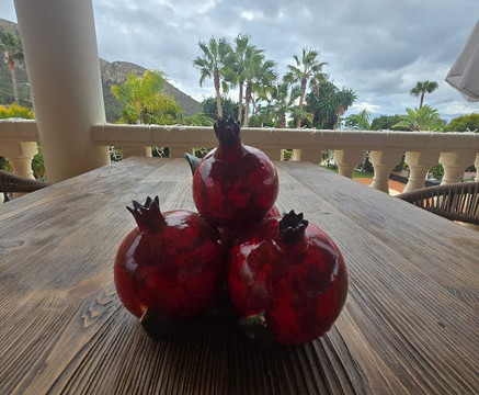 Hotel Restaurante La Plantacion主图