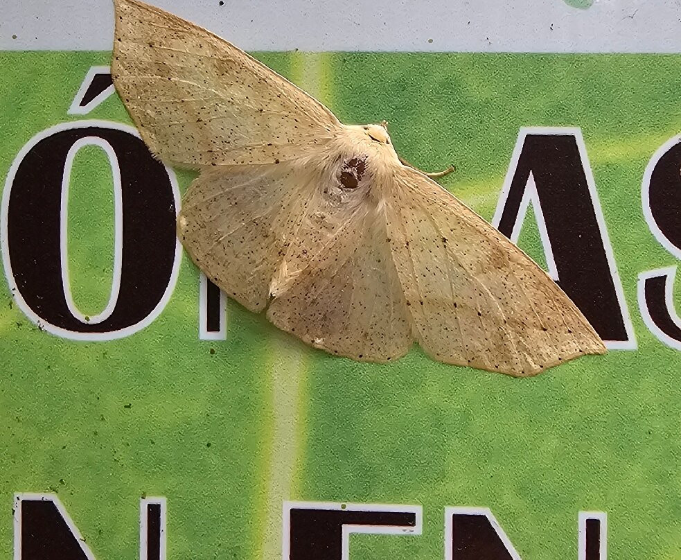 Rogitama Biodiversidad-Arcabuco必去景点