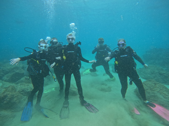 深层生态学-哈雷瓦必去景点