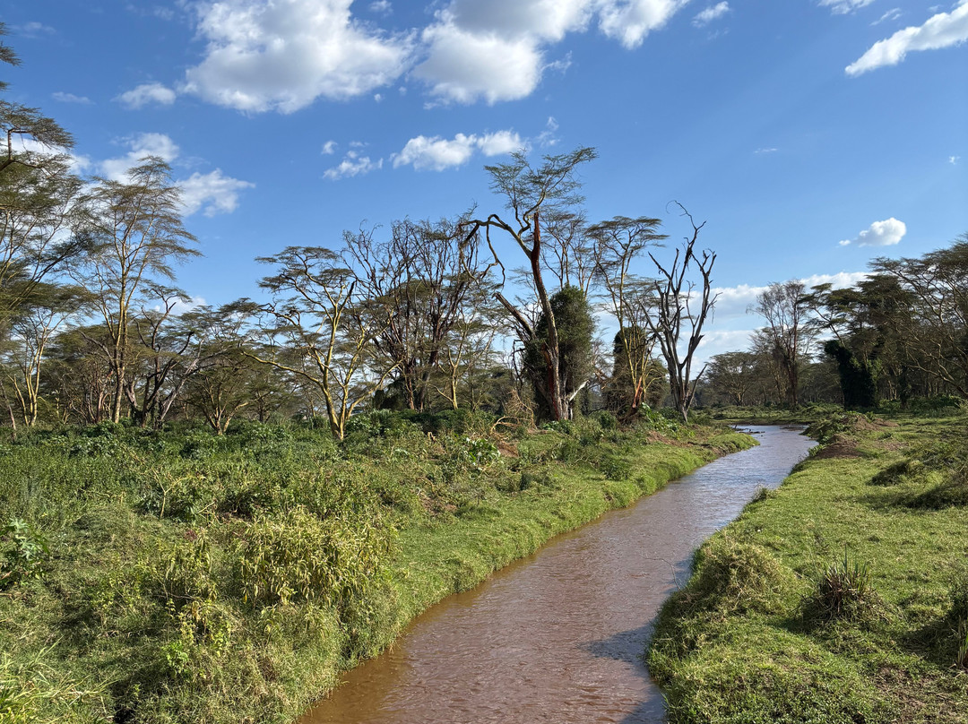Nature Insight Safaris-内罗毕必去景点