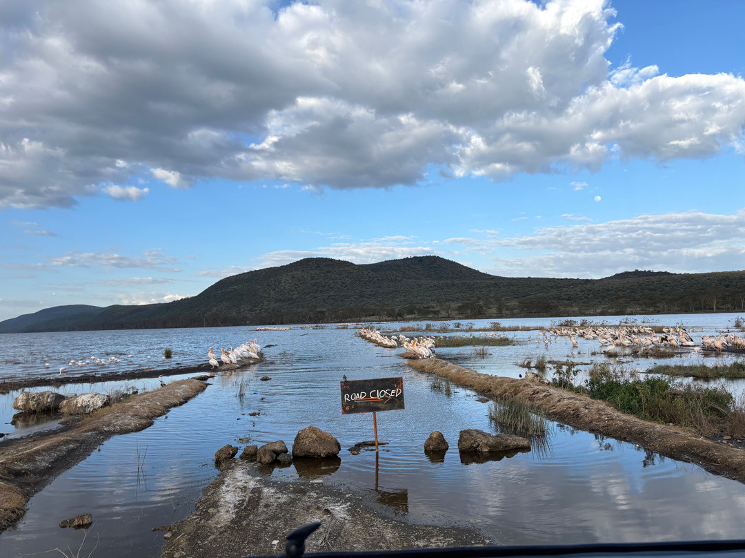 Nature Insight Safaris-内罗毕必去景点