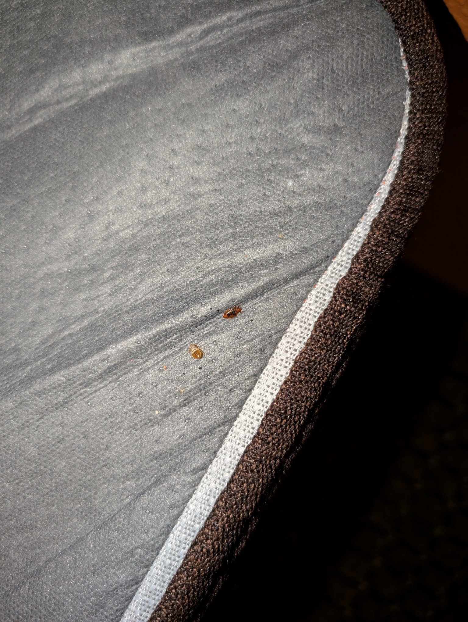 My Place Hotel-Fargo, ND-客卧