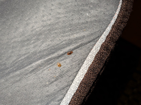 My Place Hotel-Fargo, ND主图