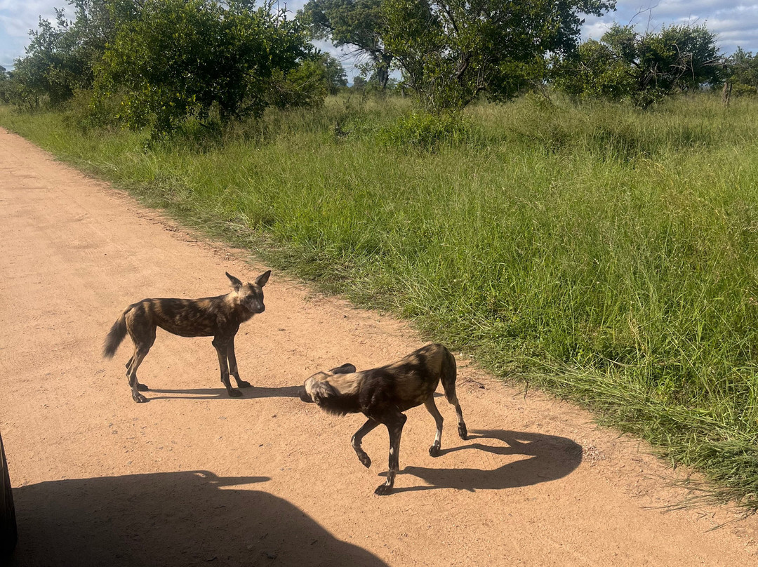 Southern Kruger Safaris-玛洛斯帕克必去景点