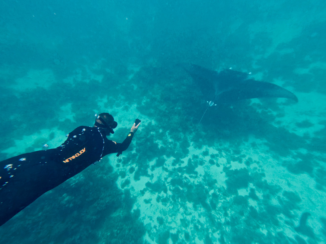 Ningaloo Reef Dive-珊瑚湾必去景点