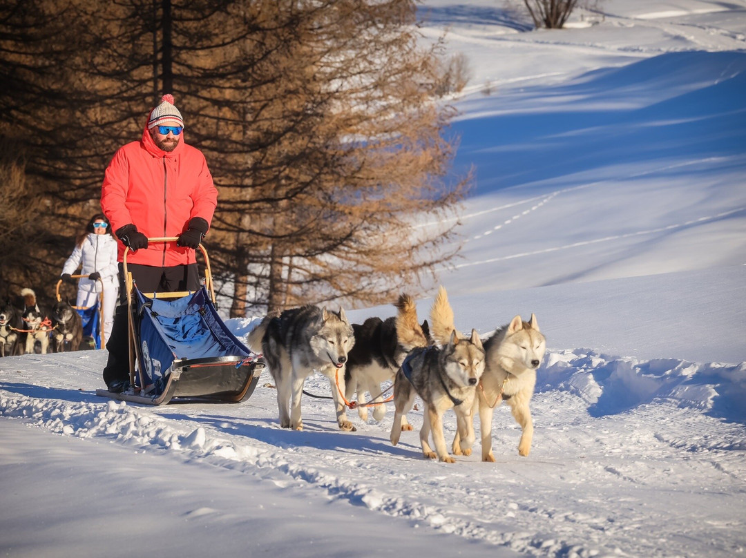 The Husky Experience Sestriere-Sestriere必去景点