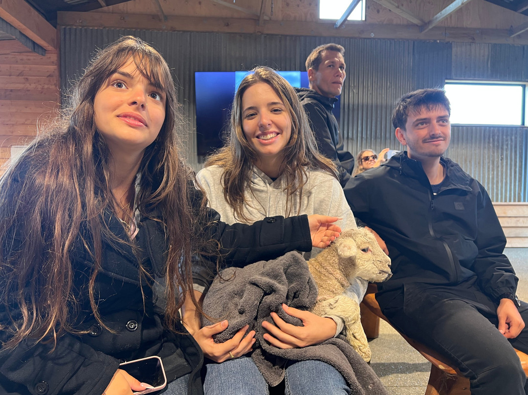 Woodstone Farm, Te Anau, New Zealand-蒂阿瑙必去景点