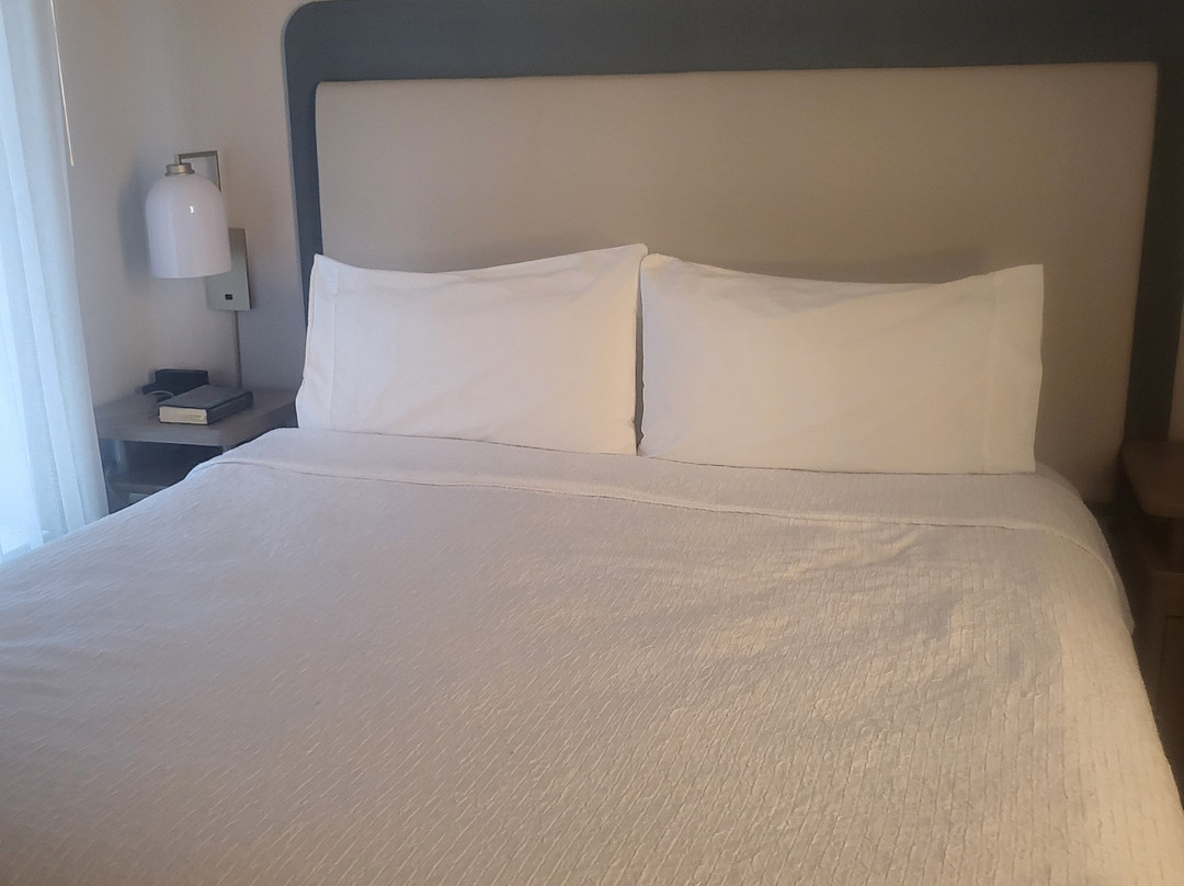 兰斯代尔希尔顿惠庭套房酒店主图