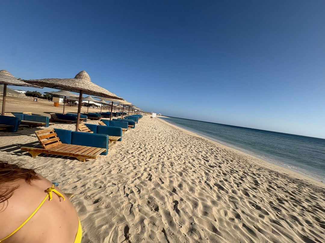 Abu Dabbab Beach-马萨阿拉姆必去景点