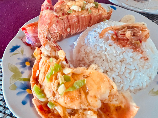 Horseback Riding Tours-特立尼达必去景点