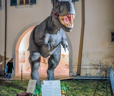 Museo di Storia Naturale - Universita di Pisa-Calci必去景点