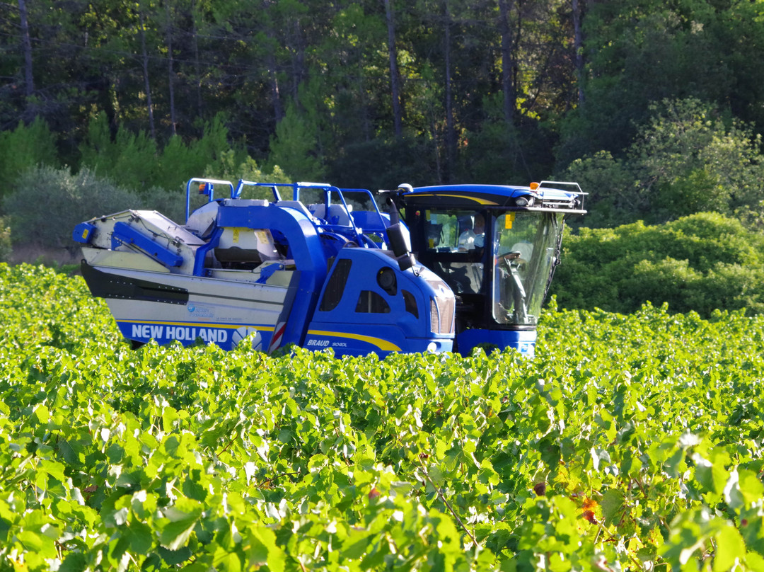 Cave Vignerons du Luc-Le Luc必去景点