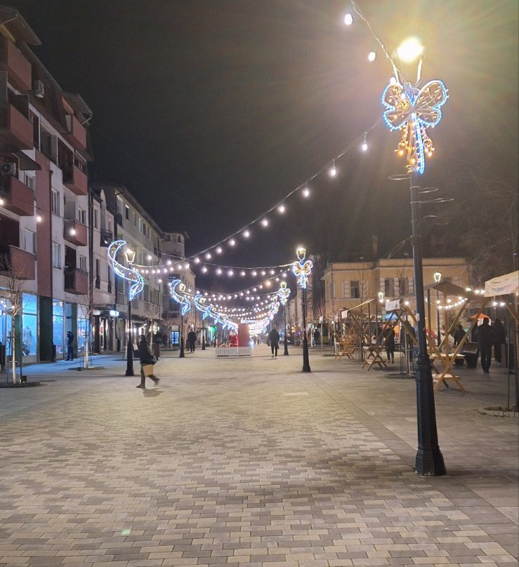 Zepter Hotel Drina主图