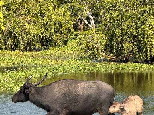 Freedom Safari Jeep Tours-蒂瑟默哈拉默必去景点