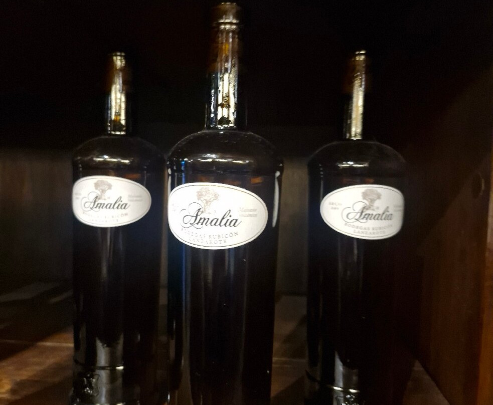 Wine Tours Lanzarote-卡门港必去景点