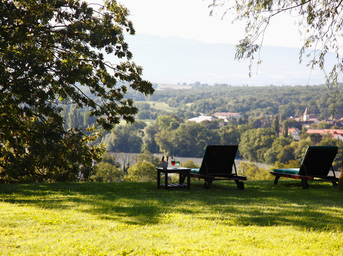 多美茵夏朵位克斯酒店主图