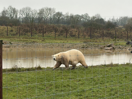 Peak Wildlife Park-Winkhill必去景点