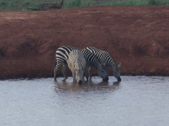 Enrico Safari Kenia-瓦塔木必去景点