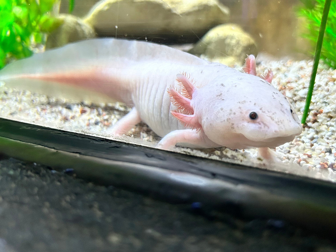 SEA LIFE Hunstanton-Hunstanton必去景点