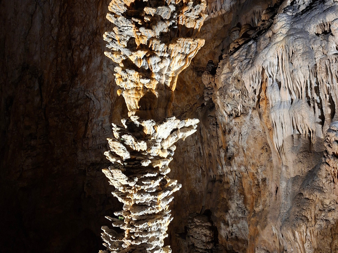 Grotta Gigante-Borgo Grotta Gigante必去景点