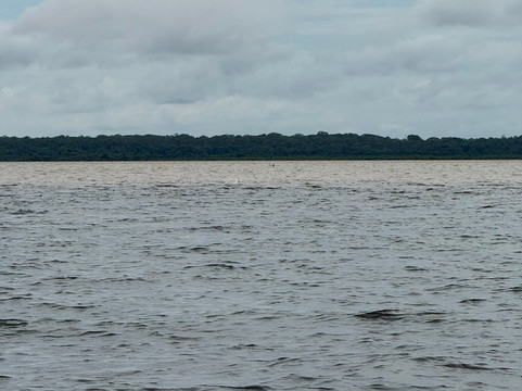 Rainforest Cruises-迈阿密海滩必去景点