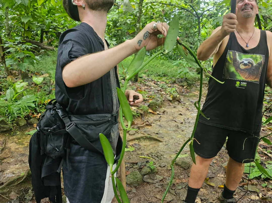 Green Acres Chocolate Farm and Nature Preserve-Cerro Brujo必去景点