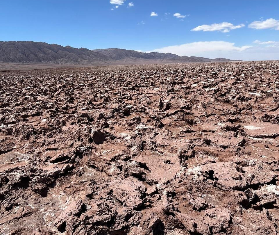 Lagunas Baltinache-圣佩德罗-德阿塔卡马必去景点
