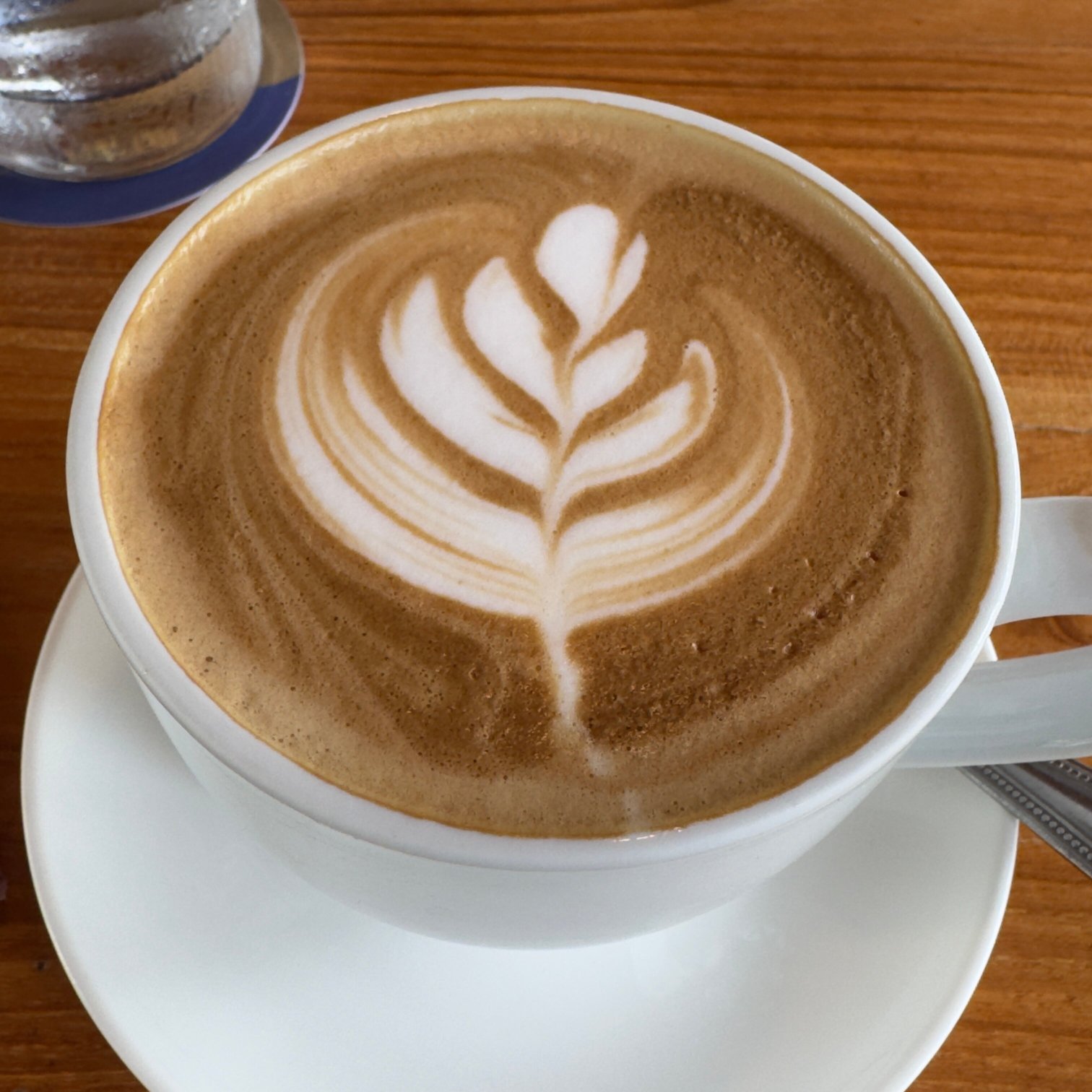 泰得度假村-官方