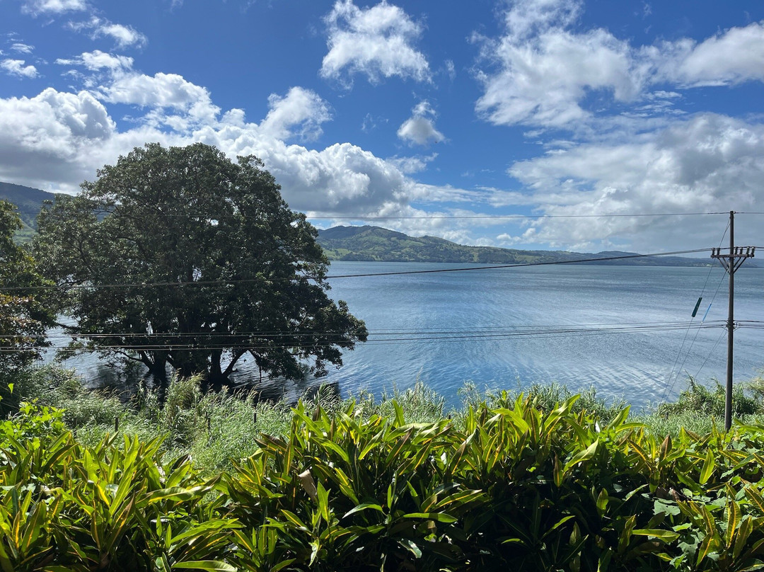 Restaurante La Tortuga Arenal