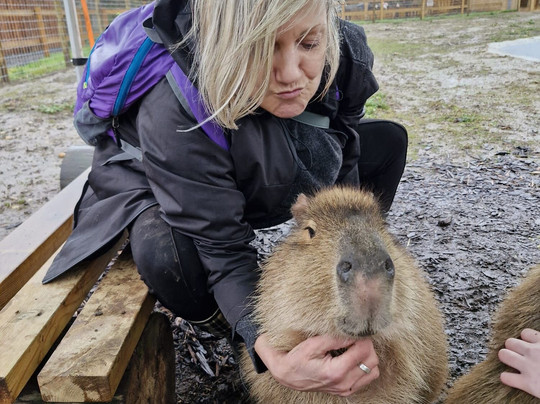 Millets Farm Falconry Centre-弗里福德希斯必去景点