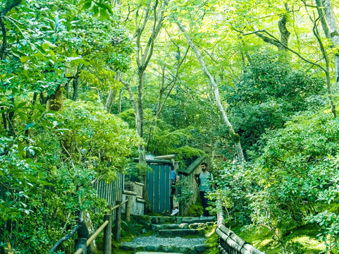 Gioji Temple-野洲市必去景点