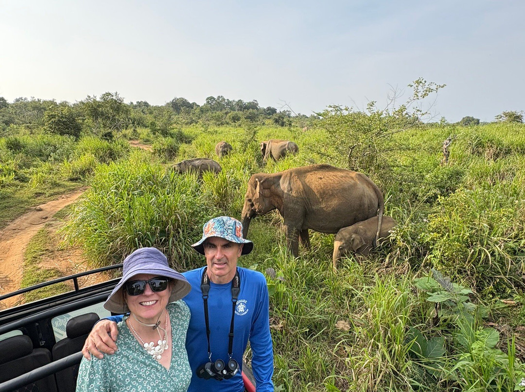 Best of Lanka-科伦坡必去景点