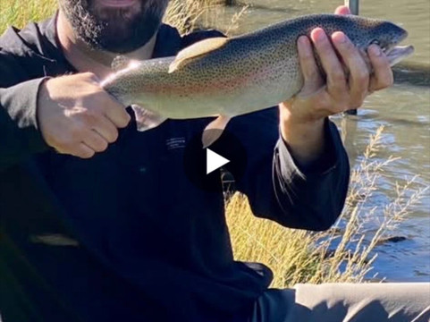 Arizona Fly Fishing Outfitters-凤凰城必去景点