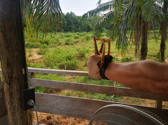 Following Giants - Krabi-Khlong Hin必去景点