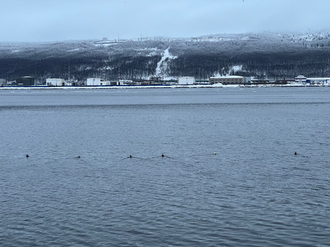 Kola Bay-摩尔曼斯克必去景点
