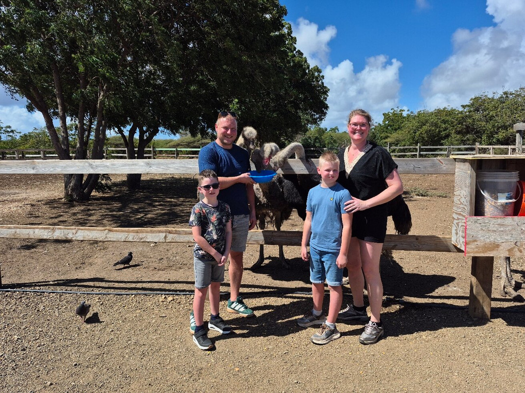Curacao Ostrich Farm-库拉索必去景点
