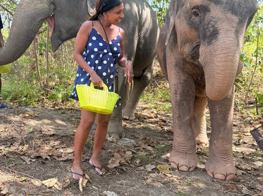 The Lake Phuket Elephant Home-Thep Krasatti必去景点