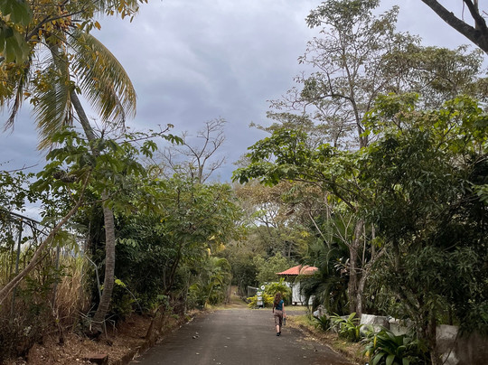 Rescue Center Costa Rica-阿拉辉拉必去景点