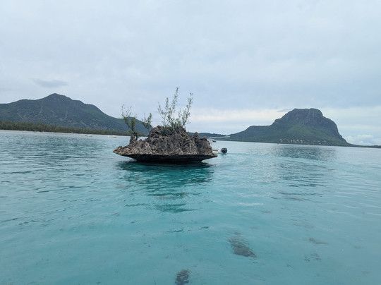 Dadou Excursion-阿尔比恩必去景点