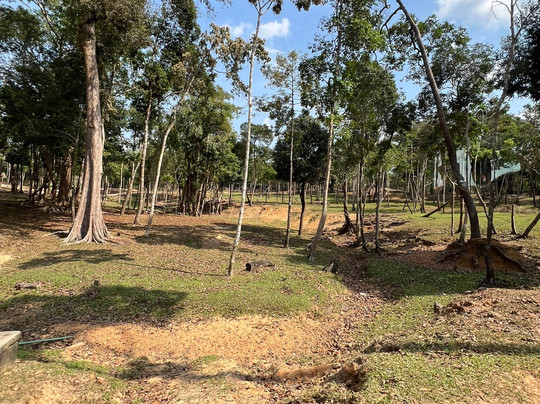 珍珠王国野生动物园-富国岛必去景点