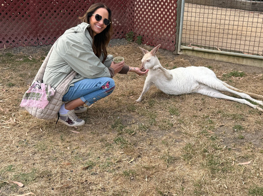 Maru Koala and Animal Park-Grantville必去景点