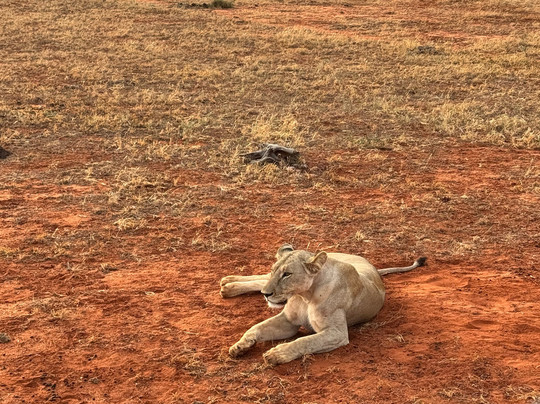 Discovery Kenya con Fragola-瓦塔木必去景点