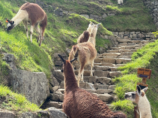 Evolution Treks Peru-库斯科必去景点