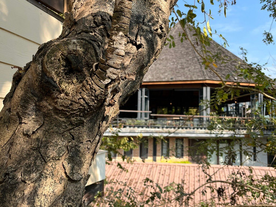 Rai Ruen Rom Organic Farm-清莱必去景点