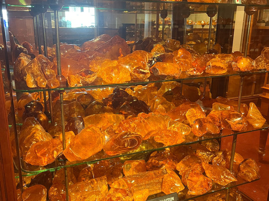 Great North Tours Limited-汉密尔顿必去景点